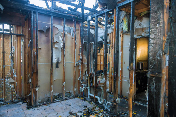 Professional Fire Damage Removal technician working in Ely, MN